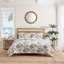 Island Orchid Quilt-395417542-345224214