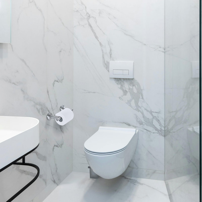 Porte-papier hygiénique mural en acier inoxydable, Nickel brossé