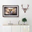 The Ears of a Basset Hound Dog in Abstract - Picture Frame Painting Print on MDF-55737476-55737477