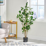 Abernethy Faux Bonsai Tree in Pot