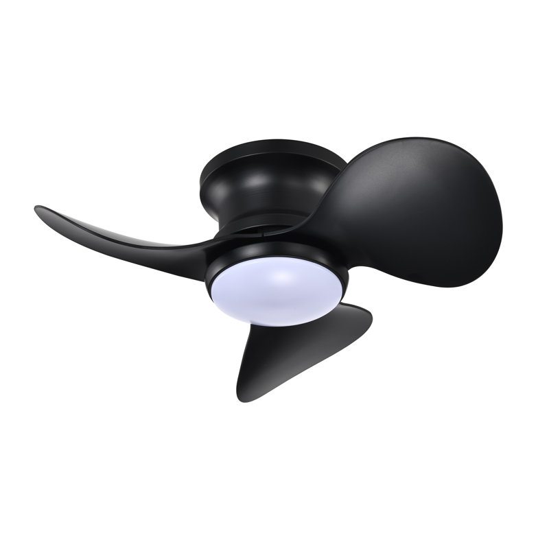 Bold Three Blade Aerodynamic Ceiling Fan