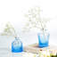 Anjali Glass Table Vase