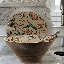 Gracie Oaks Bourbonnais Wood Serving Bowl