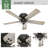 Shady Grove 52" 5 - Blade Ceiling Fan With Lights And Pull Chain-85433801