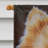 Double Sided Polyester Animal Garden Flag-16655178