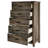 Cecere 5 Drawer Chest-908396196