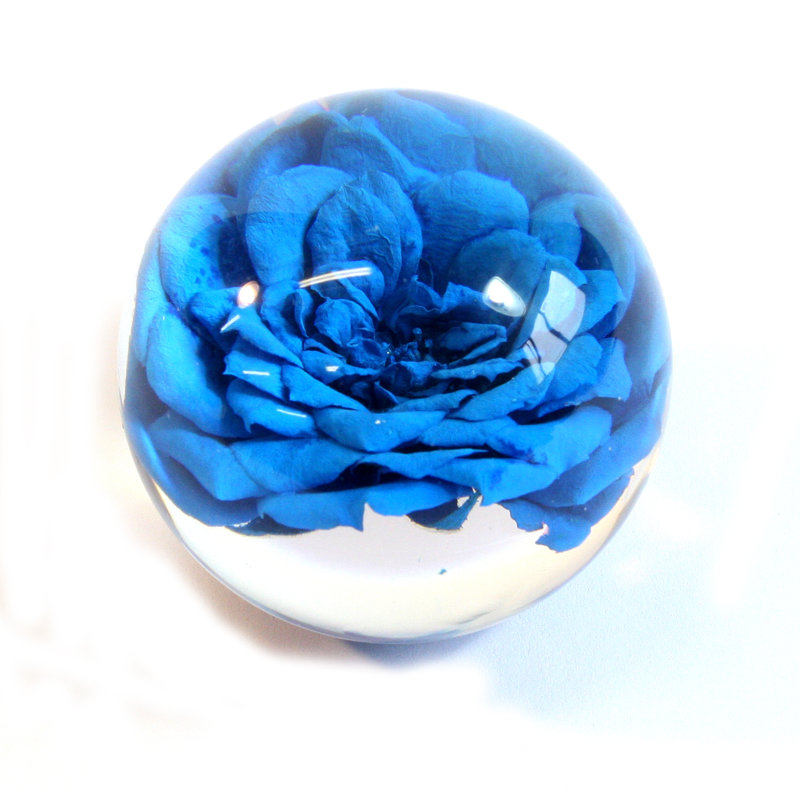 Globe rose Ranney