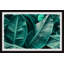Lush Foliage - Single Picture Frame Painting-61855352