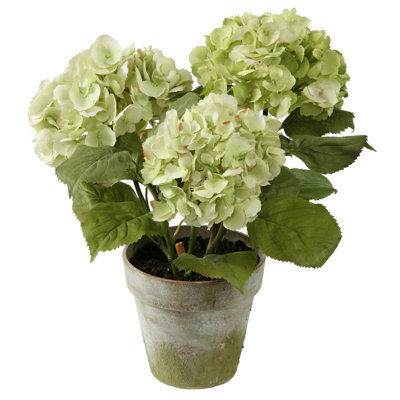 Hydrangeas 3 Stems in Clay Pot