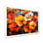 Single Picture Framed Print without Mat sélectionné