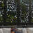 Tropics Decorative Privacy Panel-121890466