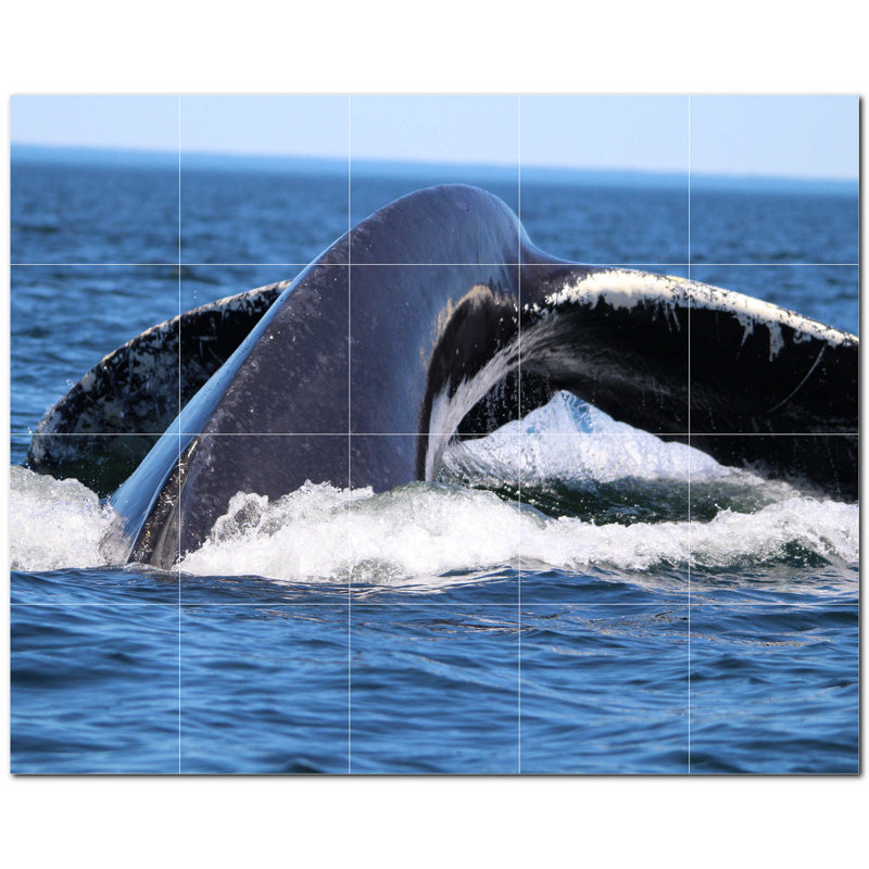 Murale en céramique satinée Whale Photo 4,25 po x 4,25 po