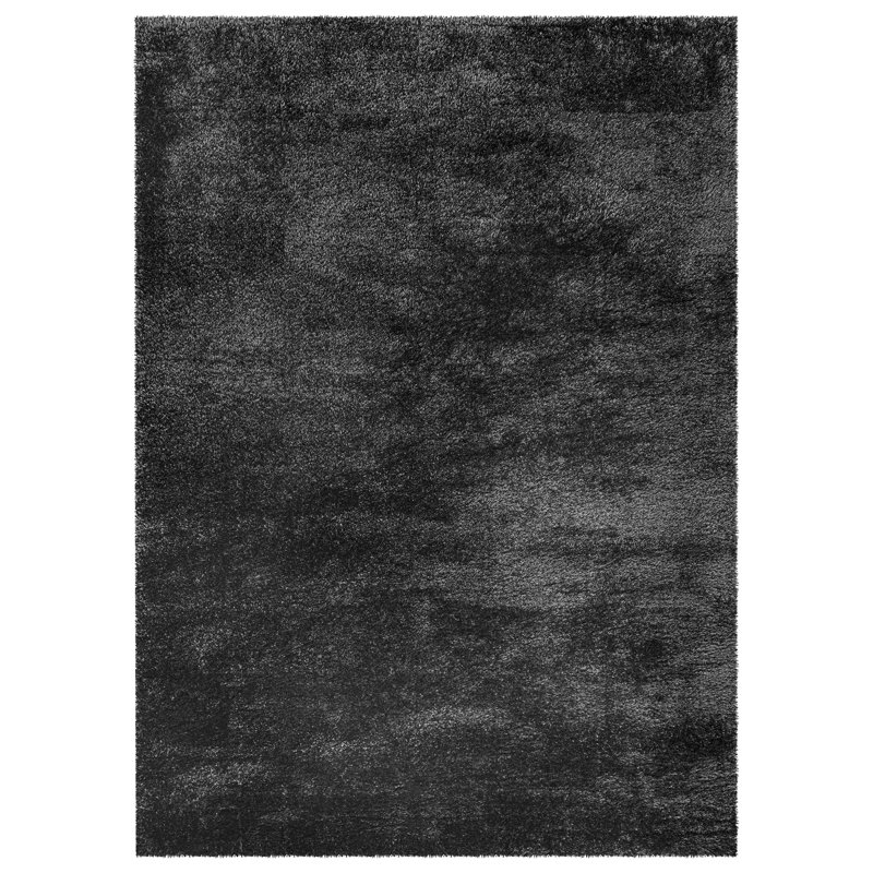 Chambre Shag Indoor / Outdoor Area Rug, Rectangle 160 x 230 cm