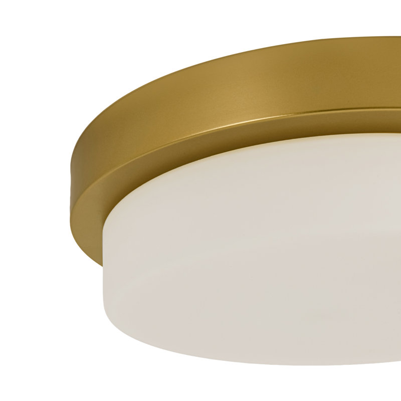 Brass LED Opal Glass Round Ceiling Light