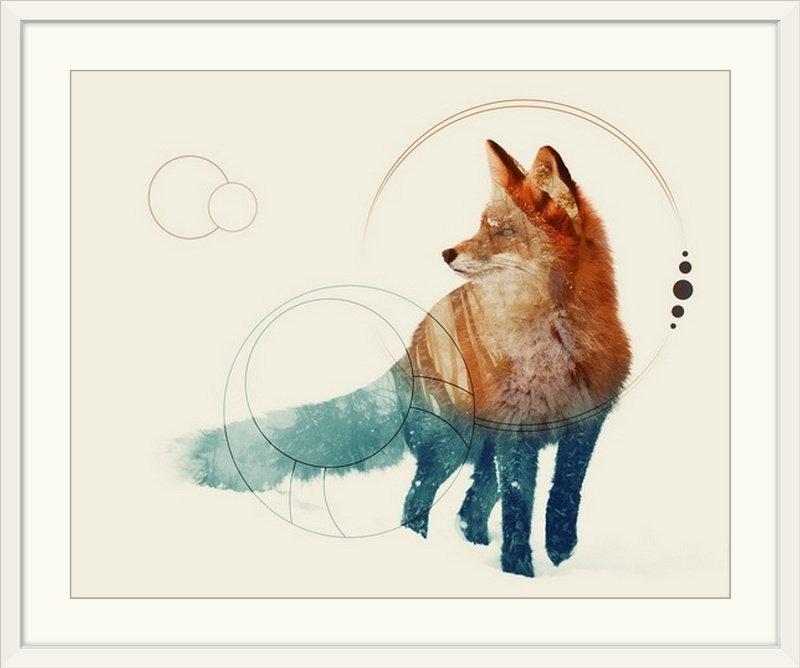 «Double Exposure Wildlife Fox II», impression, Cadre blanc, H 24 po x l 28 po x P 1 po