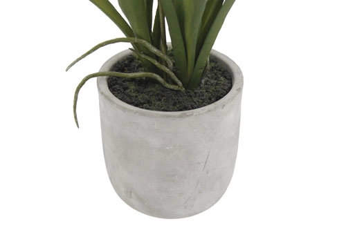 20.5" Artificial White Orchid in Vanda Pot