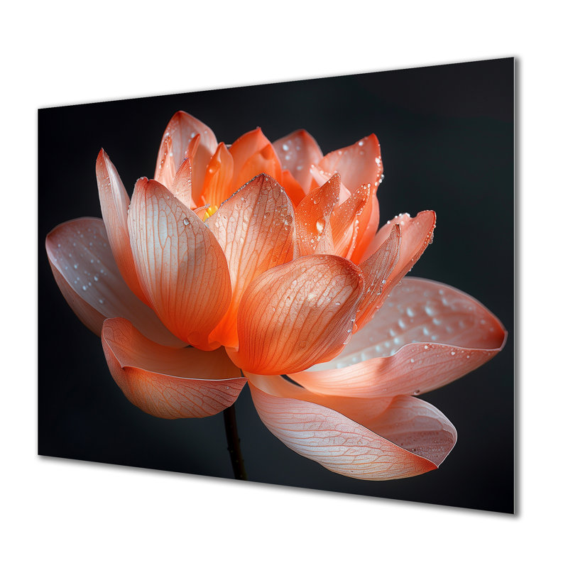 Orange orange, gris, glamour, lotus photo II - lotus, art mural, Sans cadre, métal, H 12 po x l 20 po