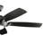 Geno 54'' Ceiling Fan with LED Lights