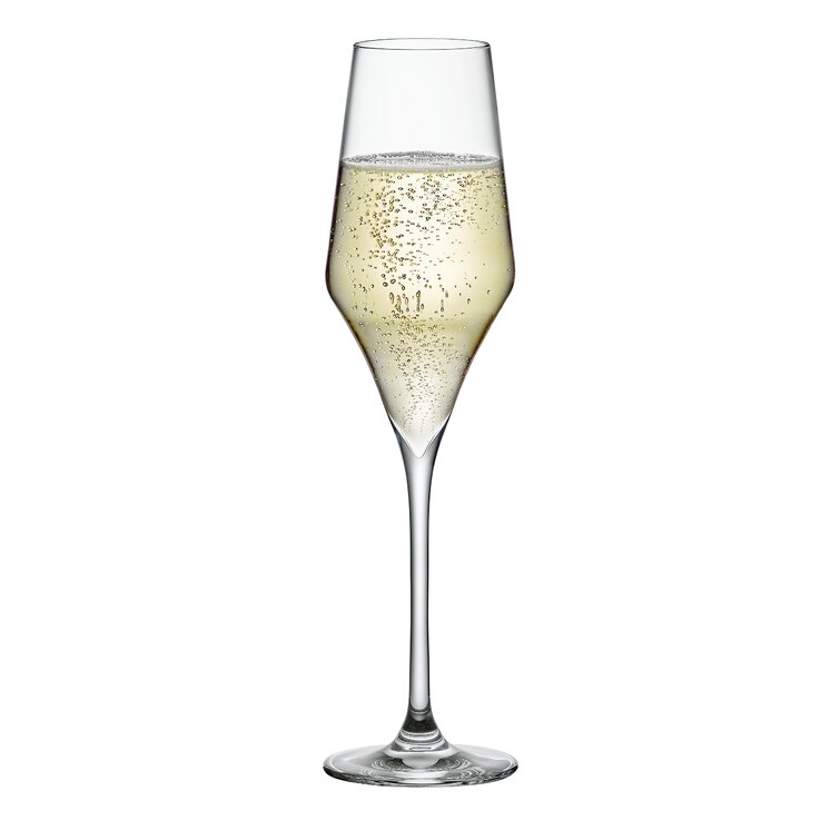 https://assets.wfcdn.com/im/42888575/resize-h755-w755%5Ecompr-r85/9790/97907440/Aram+8+oz.+Champagne+Flute.jpg