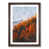 Walnut Framed