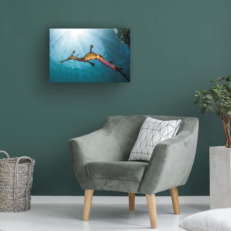 Richard Wylie  Weedy Seadragon Profile Canvas Art, 22" H x 32" W