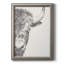Graphite Bison Portrait II - reproduction d'art sur toile-1458224293