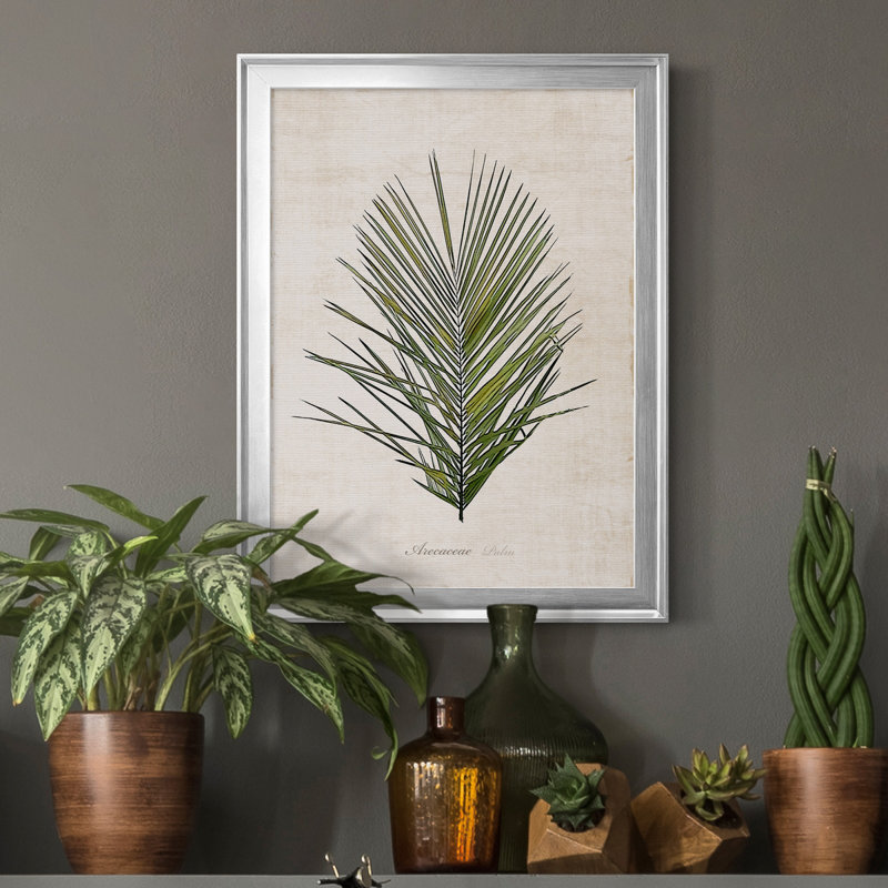 Palmier botanique I - impression, H 18,5 po x l 24,5 po x P 1,5 po, Argent