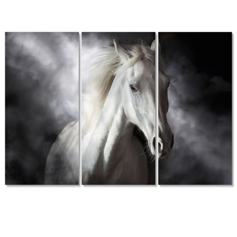 Portrait d'un cheval blanc galopant I - reproduction d'art sur toile traditionnelle, H 40 po x l 60 po x P 1 po
