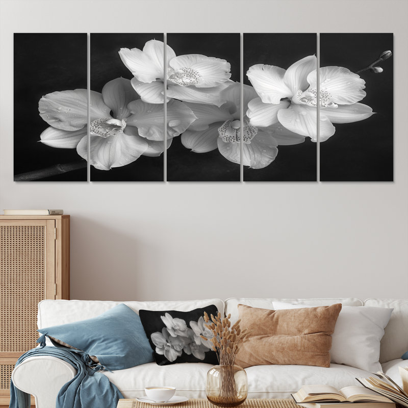 «Botanical Magic Black and Orchids Photo II», ensemble d'art mural sur toile Orchidées, H 32 po x l 80 po