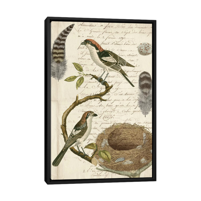 « aviaire journal i », art textuel sur toile, H 26 po x l 18 po x P 1,5 po, Toile avec cadre noir
