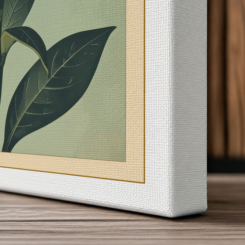 Carnation Arrangement Botanical - Wrapped Canvas, 24x16 - 61.0 x 40.6 cm, White Border