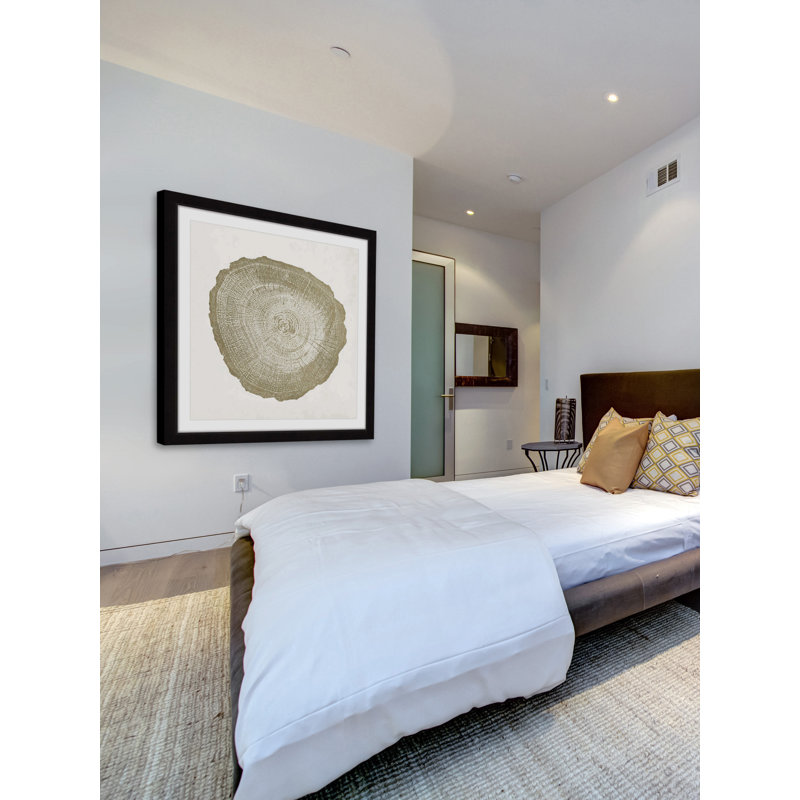 "Tree Ring IV", reproduction encadrée, H 12 po x l 12 po x P 1,5 po