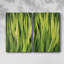 Blades of Grass I - Toile tendue avec châssis de qualité supérieure - Prêt à être accroché