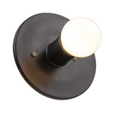 1 - Light Flush Mounted Sconce