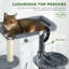 Tour pour chat 79 po
