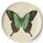 Metamorphosis Round 4 Piece Coaster Set