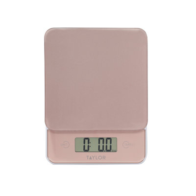 Taylor Digital Scale