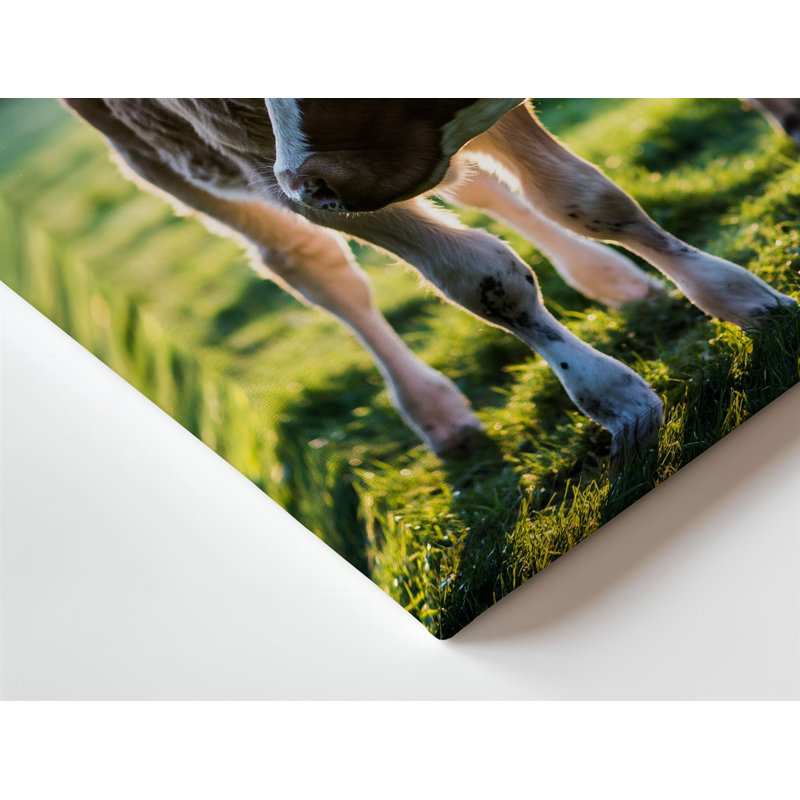 Reproduction d'art sur toile "Scène réconfortante d'une mère vache et son mollet", H 20 po x l 20 po