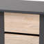 8 Pair Shoe Storage Cabinet