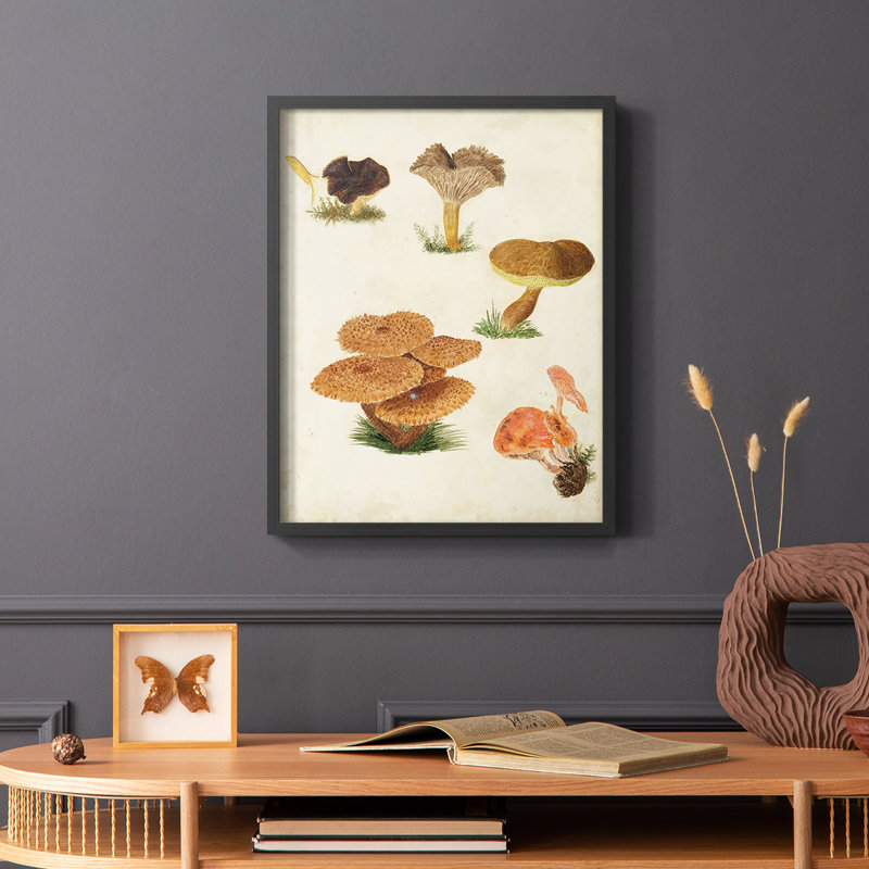 Reproduction encadrée de champignon V - Bois massif, Noir, H 28 po x l 22 po