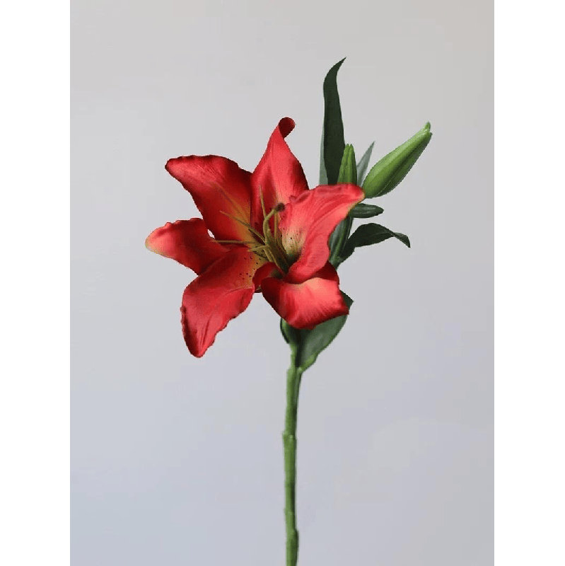 Petite tige de lys - 15 po, Plum Purple, [B] 3 Stems