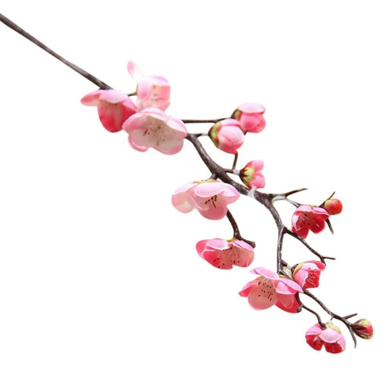 Tige de cerisier en fleurs, Rose