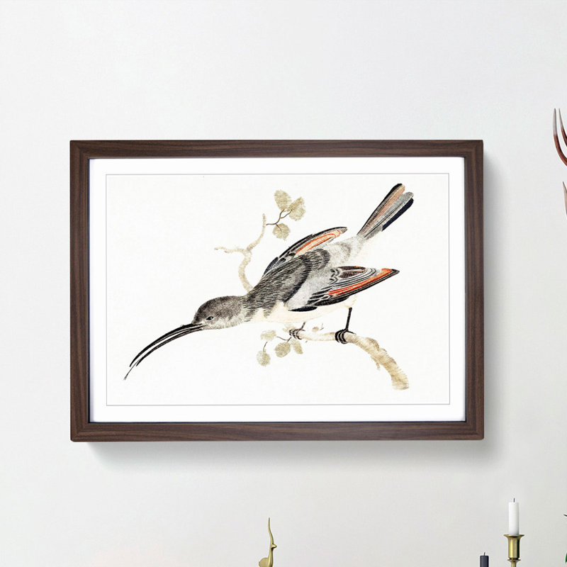 Hummingbird by Johan Teyler - Picture Frame Painting Print, 36cm H x 48cm W x 2cm D, Walnut Framed