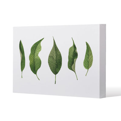1 Piece Wrapped Canvas Wall Art