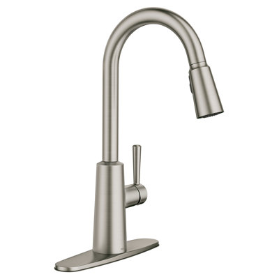 Moen Riley Pulldown Kitchen Faucet with Power Clean Spray Technology