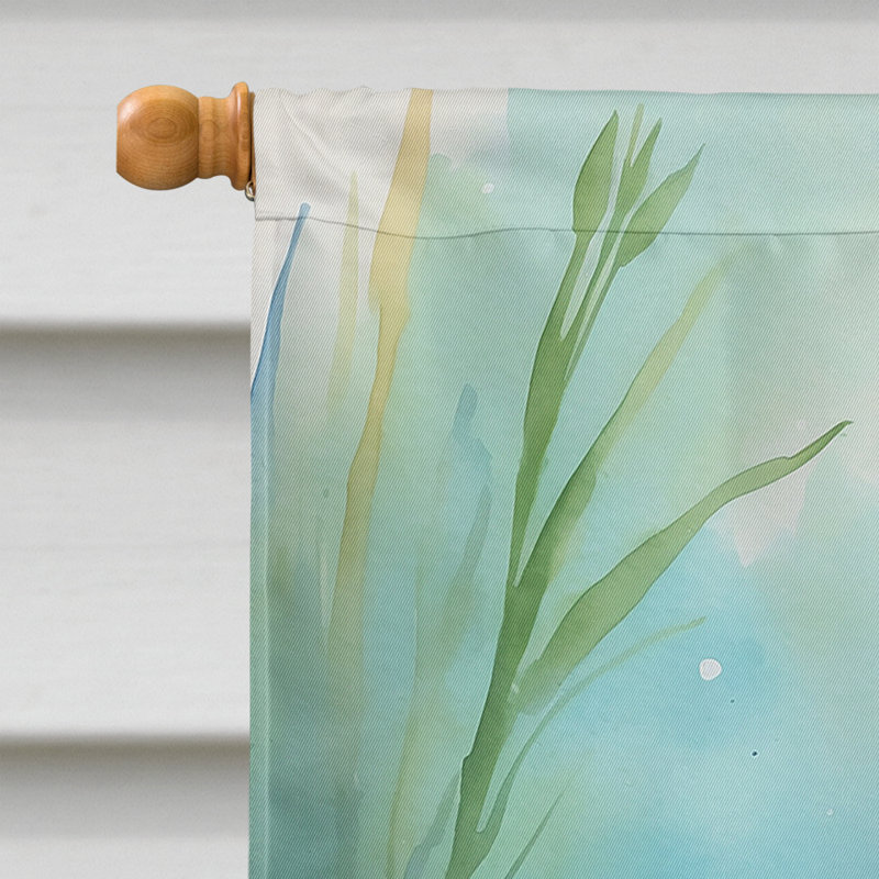  Drapeau de la maison d'oiseaux, Marbre marbré