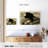 Brampt Whiteheaded Eagle-108126462