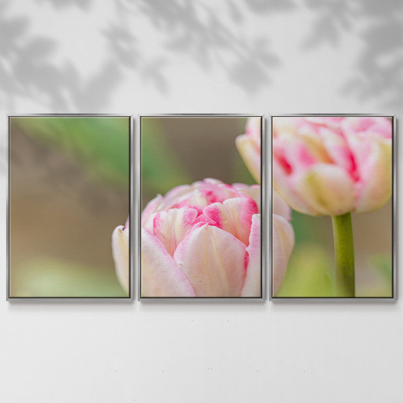 " Blush " 3 - Pieces, 24" H x 48" W x 2" D, Silver