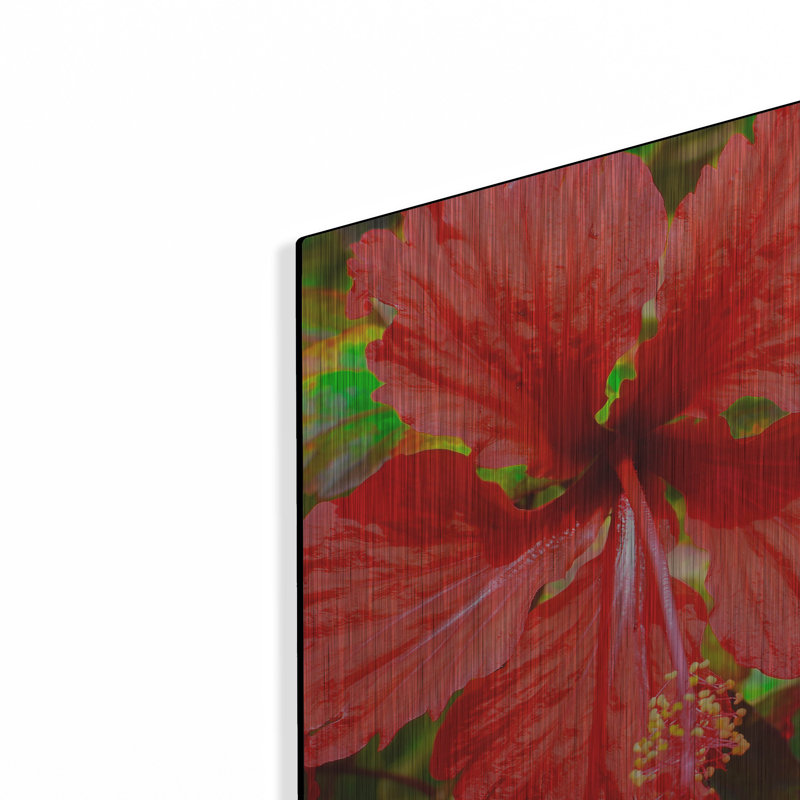 «Red Hibiscus» par Don Spears