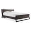 Lit Woodrow-11190972-127420534